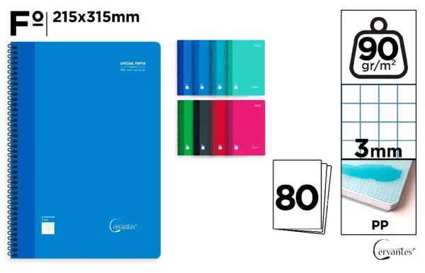CAHIER À SPIRALE Fº 3 x 3 mm 80 FEUILLES
