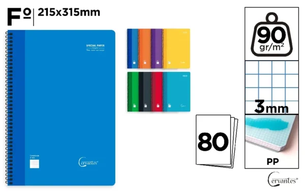 CAHIER À SPIRALE Fº 3 x 3 mm 80 FEUILLES