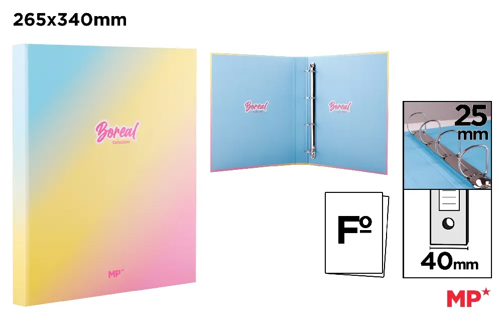 CLASSEUR EN CARTON À 4 ANNEAUX Fº