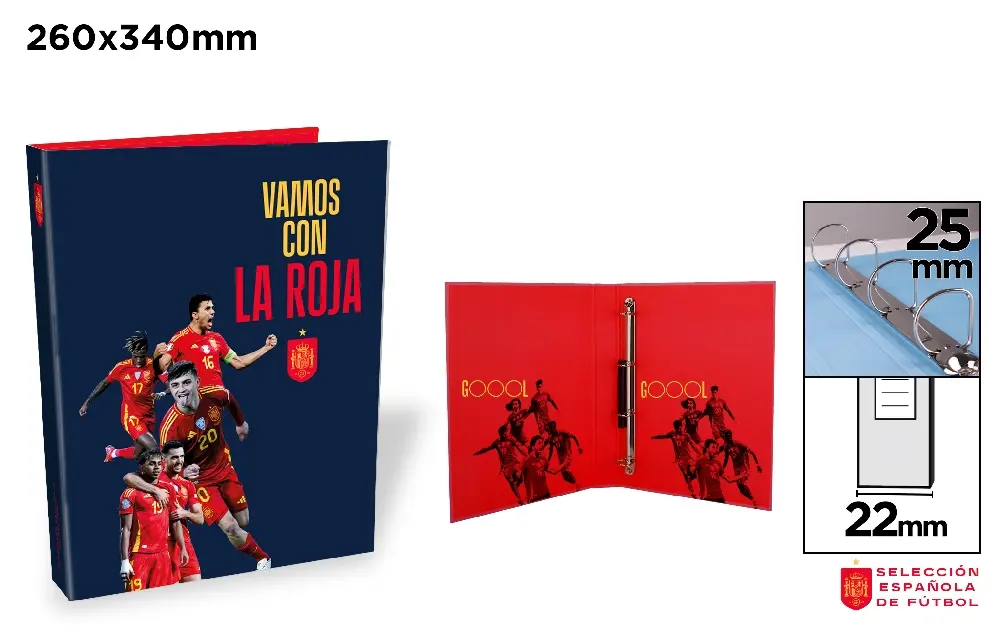 CLASSEUR CARTON 4 ANNEAUX FORMAT FOLIO.